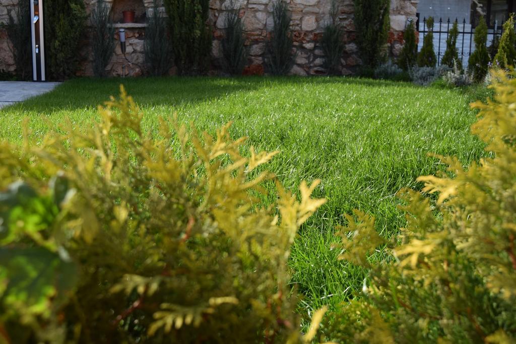 Boutique Villa Rosa Dei Venti 巴尔奇克 外观 照片